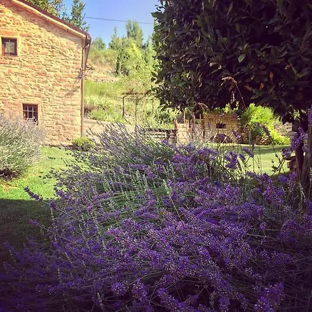 Guest house Ca' Maranghi House
