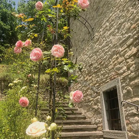 Ca' Maranghi House Guest house
